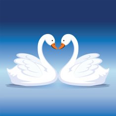 Swan Heart N3