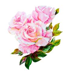 Beautiful Roses oil painting on canvas N2