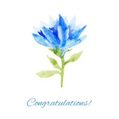 vector watercolor card N8