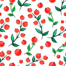 watercolor red berries