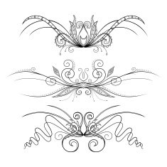 Set of Design Elements for Page Border N5