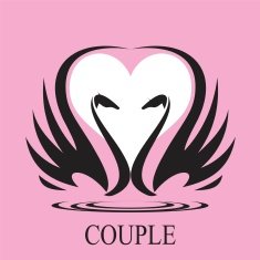 couple couple of swan and heart icon couple in love