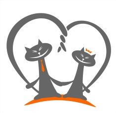 cats love N3