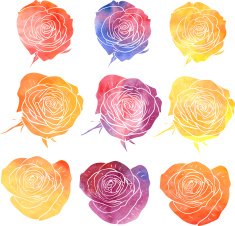 flowers painted by watercolor N5