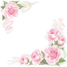 Flower rose frame Floral spring decor N3