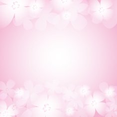 Beautiful pink flower background N4