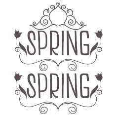 Set spring typography Isolated on white background N2