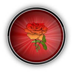 Red rose N25
