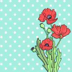 bouquet of poppy flowers N2