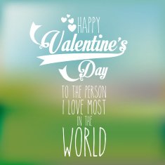 Valentines Day N401