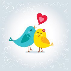 Little love birds N3