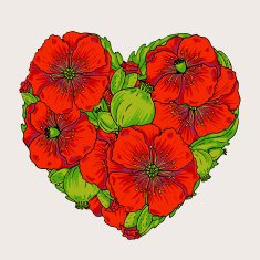 Vector poppy flowers heart illustration
