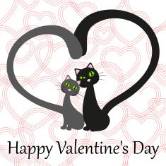 Happy Valentine's Day N265