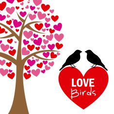 Love Design with Birds N13