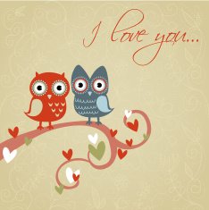 Valentine love card with owls and hearts N4