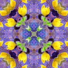 watercolor flower N22