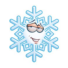 SnowFlake Emoticon - Romantic N2
