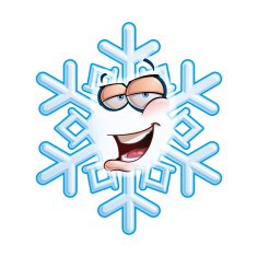 SnowFlake Emoticon - Hey N2