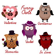 funny owls set for your design