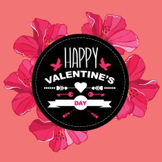 valentine's day poster N50