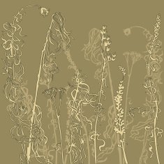 Monochrome line drawing herbs N3