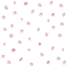 pink rose petals shaped heart