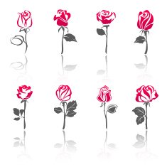 Roses set icons with reflection