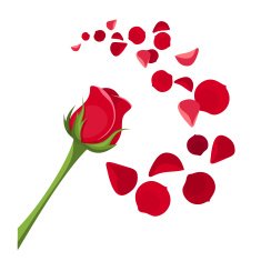 Red rose and petals Vector illustration