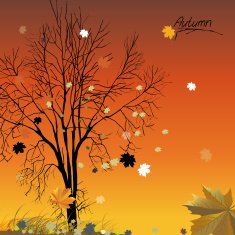 04 Autumn Tree
