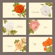 Set of Vintage Floral horizontal business cards