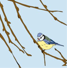 Little birds sing songs Seamless texture N3