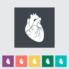 Heart Flat Icon N17