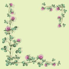 foliate border