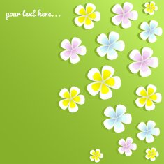 Spring flowers on green background N2