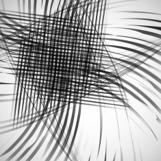 vector grid N2