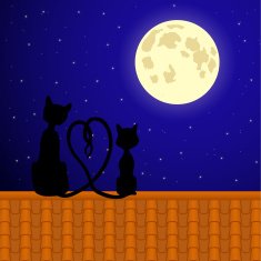 Cats sitting on the roof and stare at moon