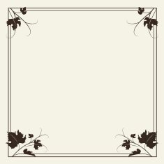 Vintage Frame N165