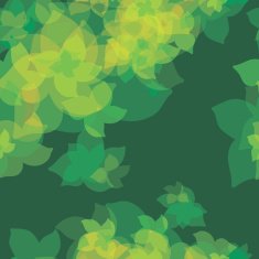 Romantic Flower Background N13