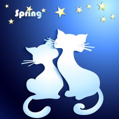 Happy cats in love
