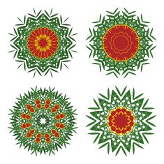 Flowers N319