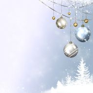 Winter holidays N6