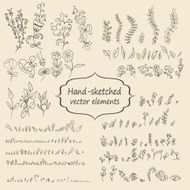 Hand sketched vintage floral elements N6