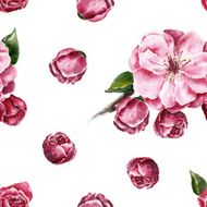 Seamless pattern with the branch of flowers N31