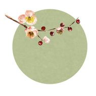 Watercolor background with the branch of flowers N5