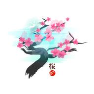 Japanese Cherry Blossom Tree N7