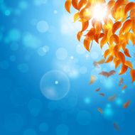 Autumn Falling Leaves on blue Background
