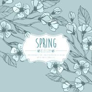 Blossoming Spring Branch Vector illustration N3