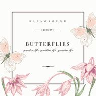 Background with flowers and butterflies N6