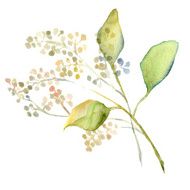 Watercolor Flowers N137