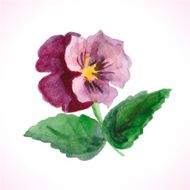 watercolor flower N24
